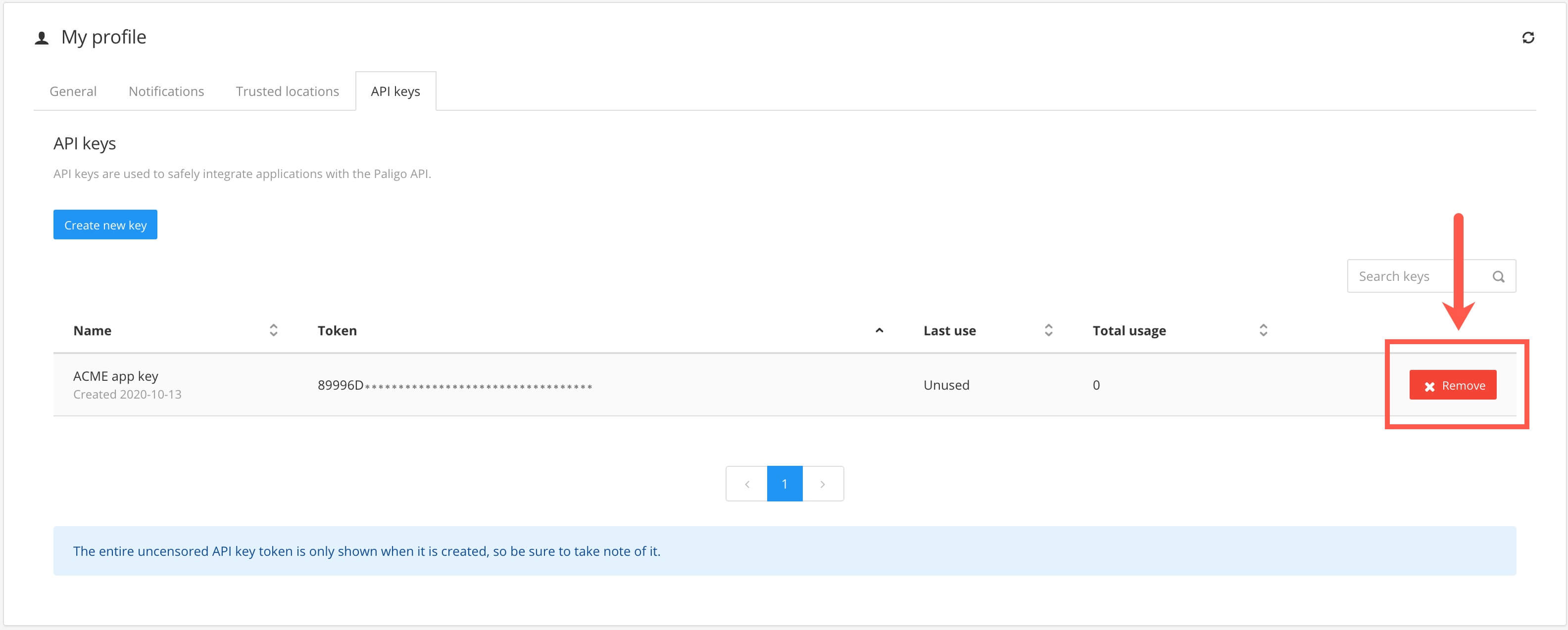 My profile settings with the API Keys tab selected. There is a list of the API keys currently in the system. It only contains one key. At the far right of the key's details, there is a red "Remove" button.